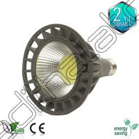 10 watt Par30 led ampul