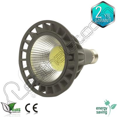 10 watt Par30 led ampul