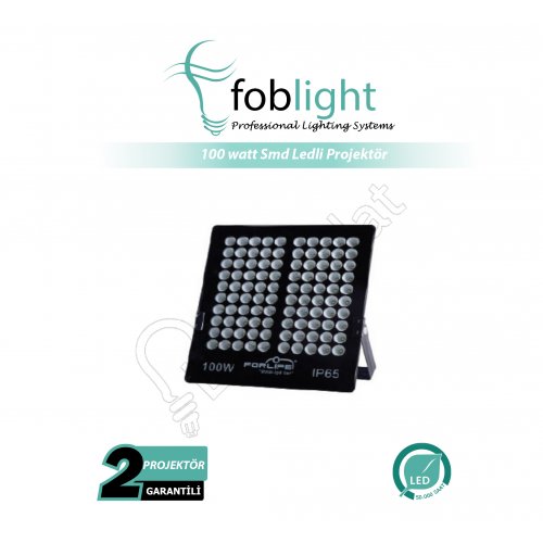 100 Watt Led Projektör FL-4100