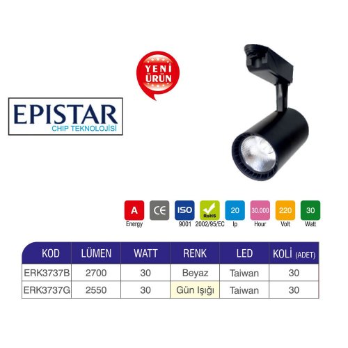 Erk 30 Watt Ray Spot Epistar Çip ERK3737BG